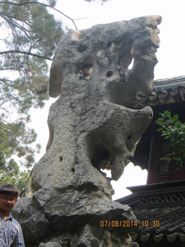 ������С IMG_8251.JPG