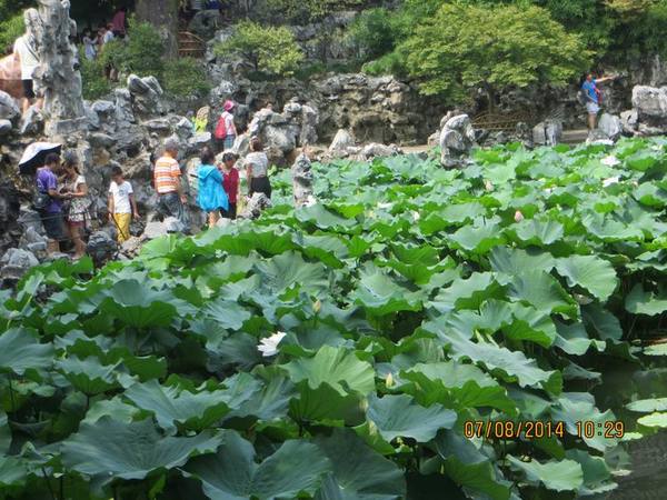 ������С IMG_8247.JPG