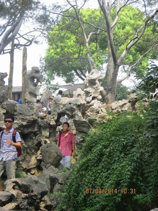 ������С IMG_8255.JPG