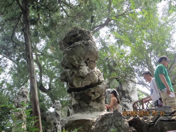 ������С IMG_8253.JPG