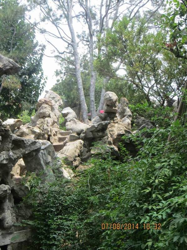 ������С IMG_8257.JPG