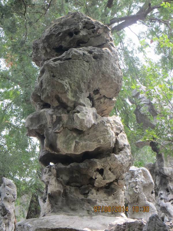 ������С IMG_8252.JPG