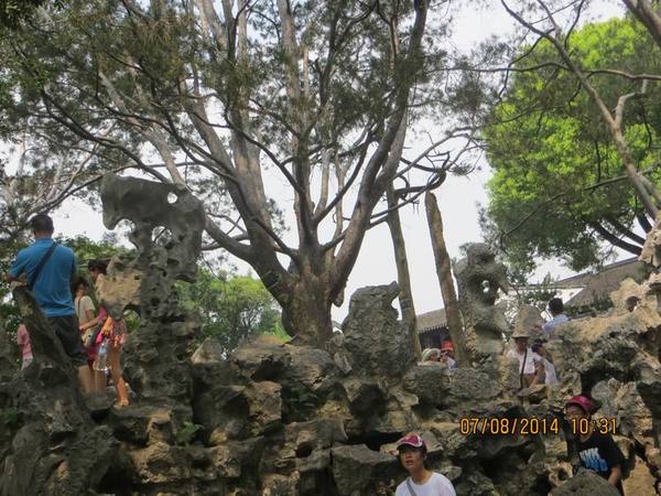 ������С IMG_8254.JPG