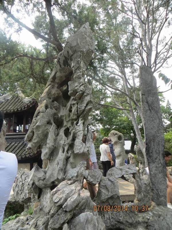 ������С IMG_8262.JPG