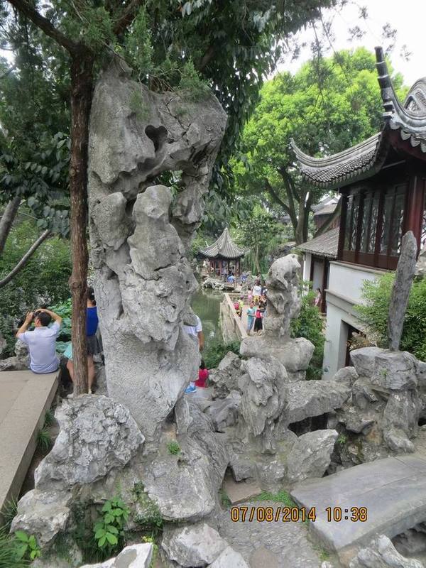 ������С IMG_8265.JPG