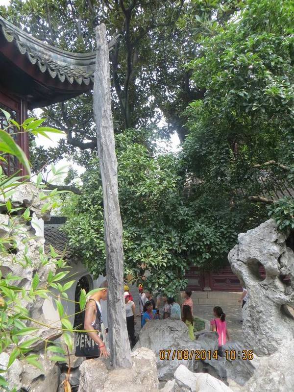 ������С IMG_8261.JPG