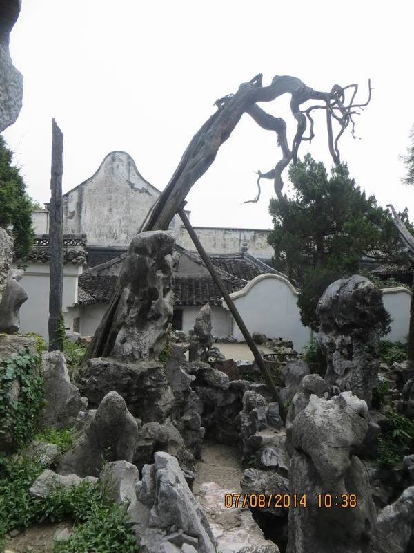 ������С IMG_8266.JPG