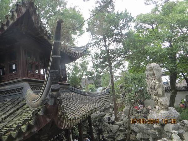 ������С IMG_8267.JPG