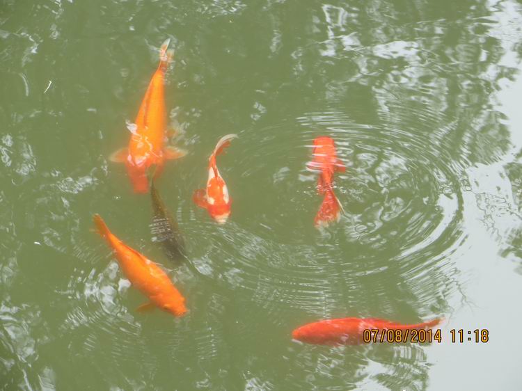 ������С IMG_8281.JPG