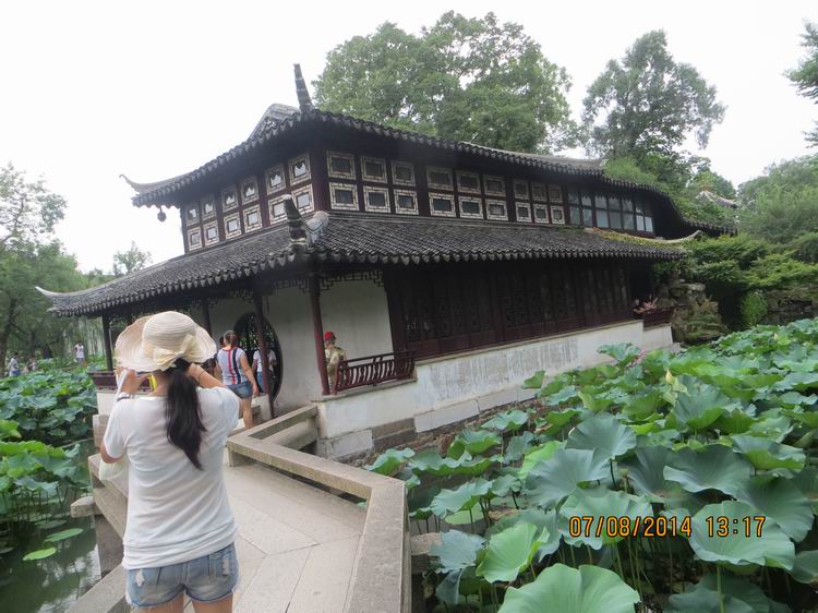 ������С IMG_8318.JPG