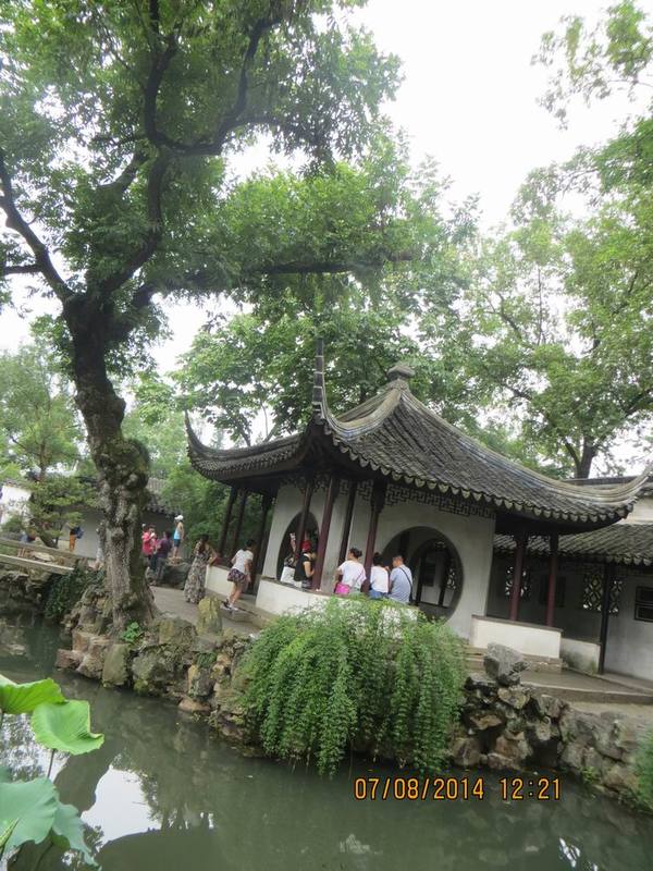 ������С IMG_8295.JPG