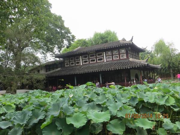 ������С IMG_8304.JPG