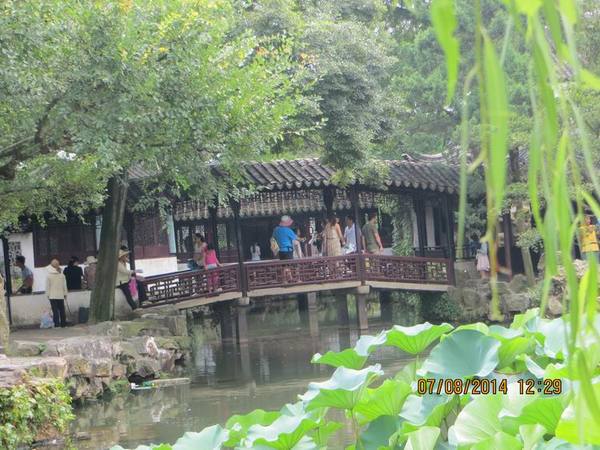 ������С IMG_8303.JPG