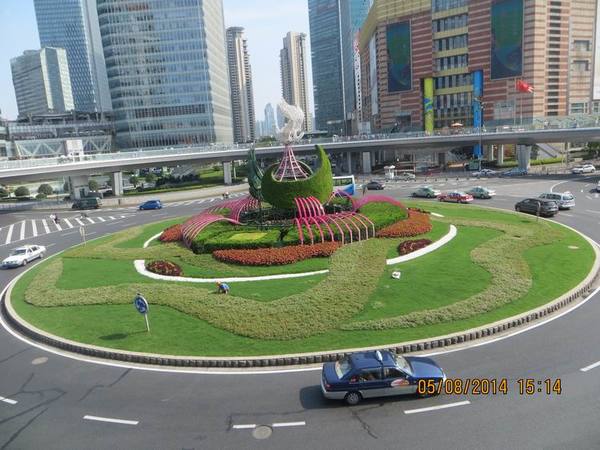 ������С IMG_7813.JPG