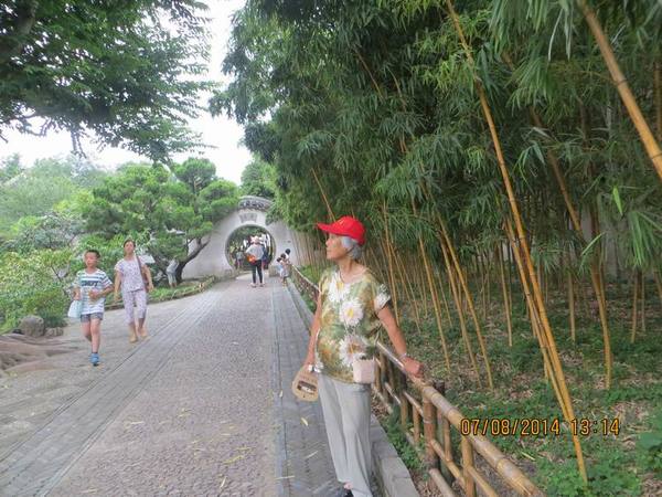 ������С IMG_8312.JPG