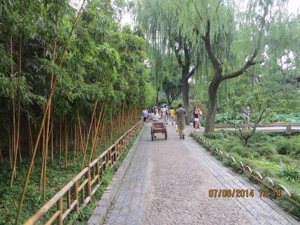 ������С IMG_8311.JPG