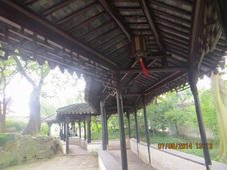 ������С IMG_8310.JPG