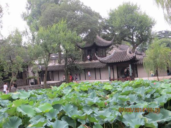 ������С IMG_8328.JPG