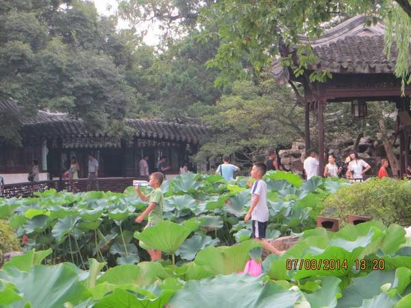 ������С IMG_8323.JPG