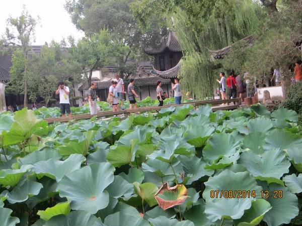 ������С IMG_8324.JPG