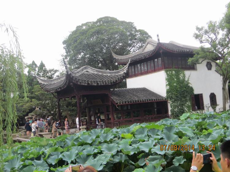 ������С IMG_8330.JPG