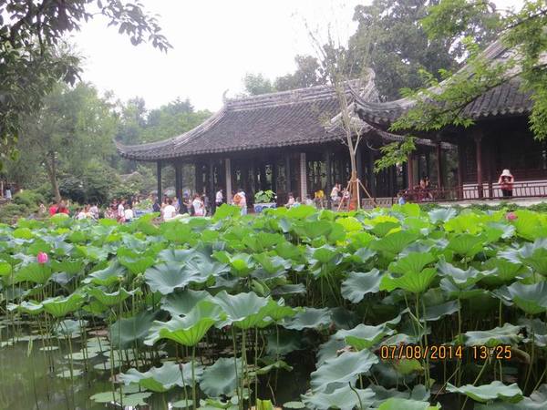 ������С IMG_8331.JPG