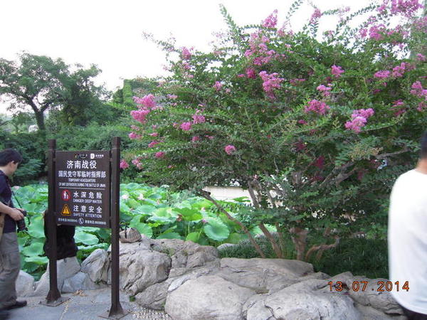 ���� 372.jpg