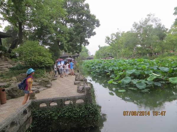 ������С IMG_8347.JPG