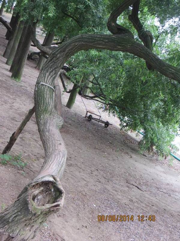 ������С IMG_8510.JPG