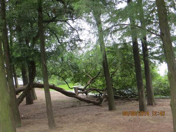 ������С IMG_8512.JPG