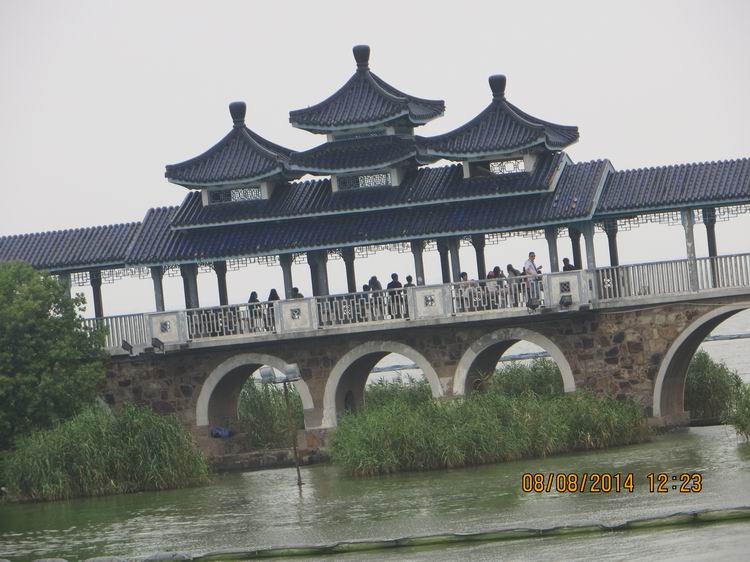 ������С IMG_8468.JPG