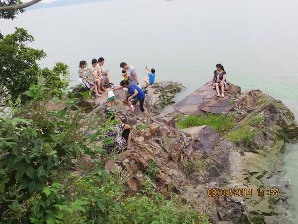 ������С IMG_8649.JPG