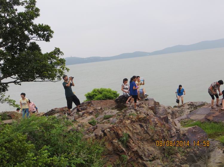 ������С IMG_8651.JPG