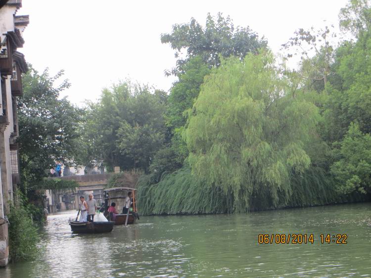 ������С IMG_8137.JPG