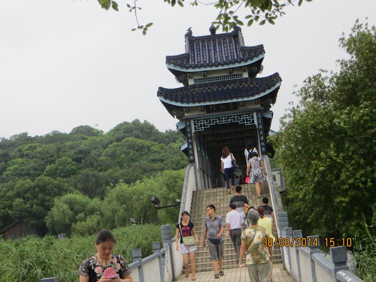 ������С IMG_8668.JPG