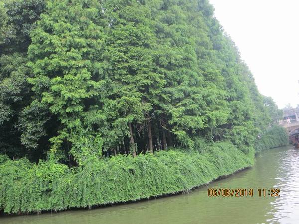 ������С IMG_8095.JPG