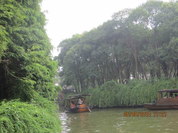 ������С IMG_8093.JPG