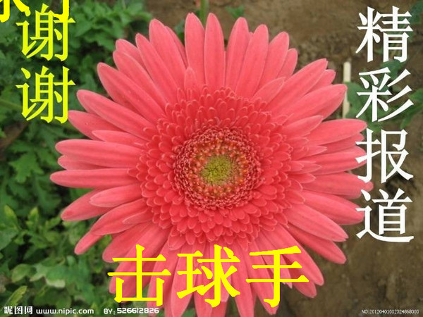 image.jpg.thumb (4)_����_����1.jpg