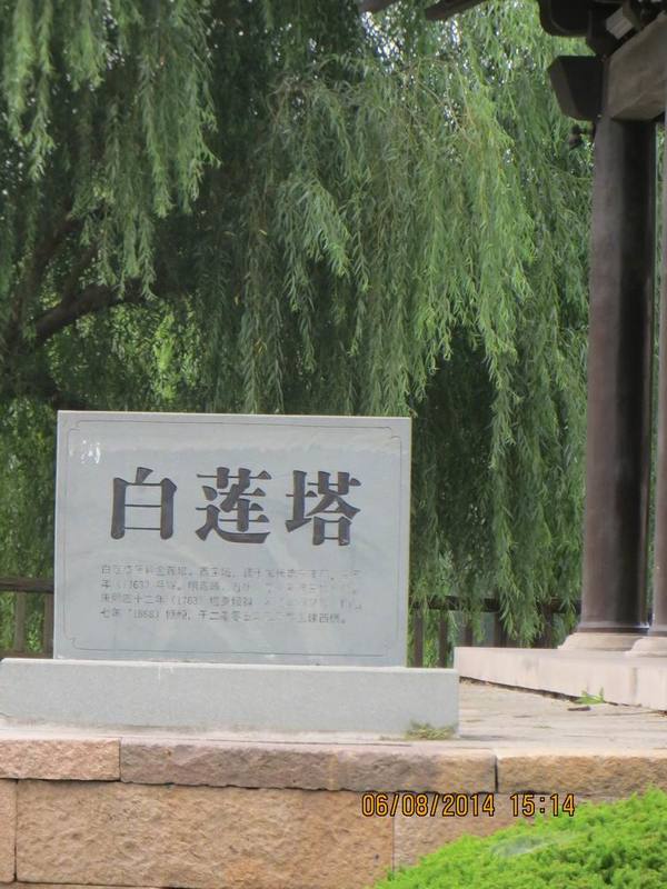 ������С IMG_8176.JPG