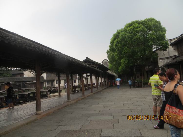 ������С IMG_8116.JPG