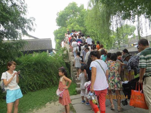 ������С IMG_8099.JPG