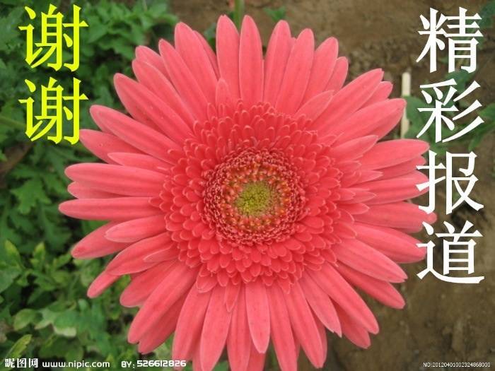 image_jpg_thumb (4)_jpg_thumb.jpg