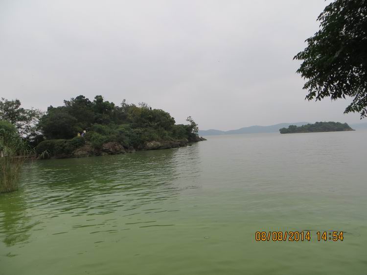 ������С IMG_8647.JPG