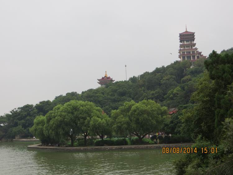 ������С IMG_8657.JPG