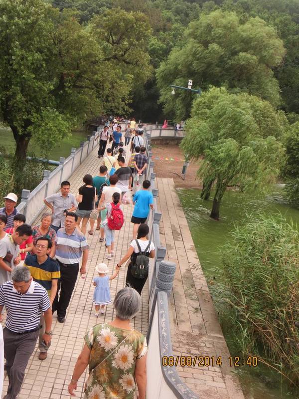 ������С IMG_8501.JPG