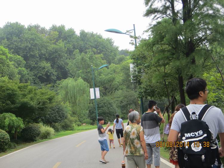 ������С IMG_8386.JPG