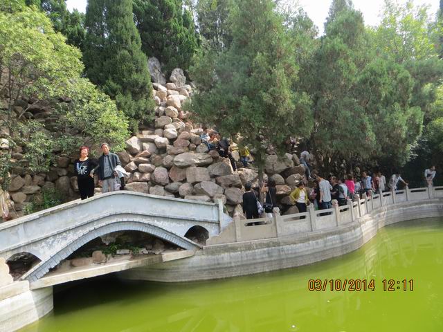 ������С IMG_8895.JPG