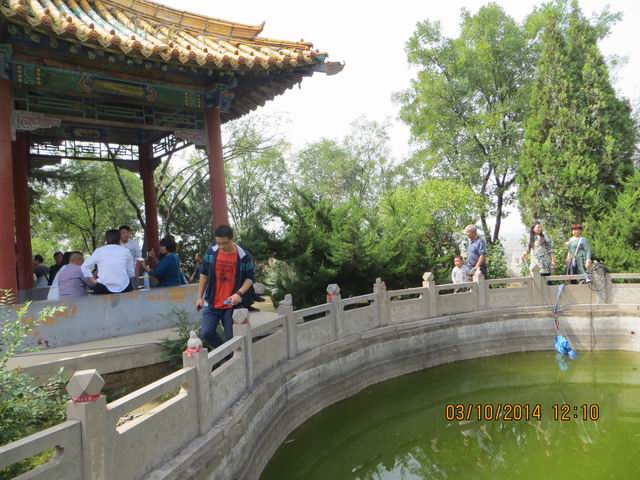 ������С IMG_8892.JPG