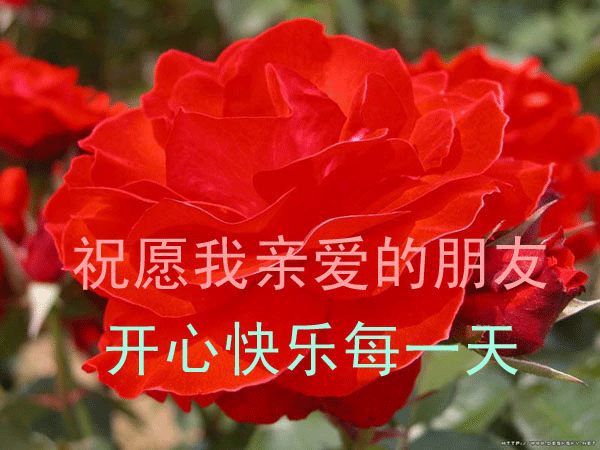 http_imgload (15).gif