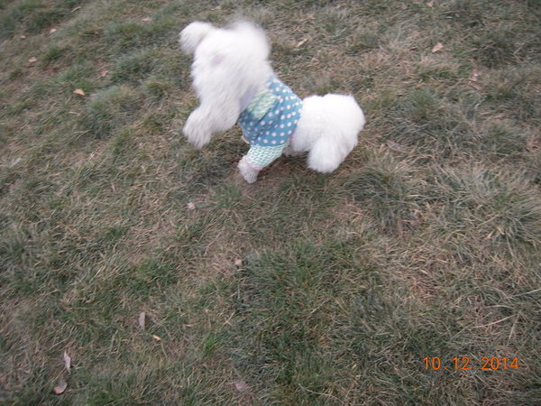 ���� 434.jpg